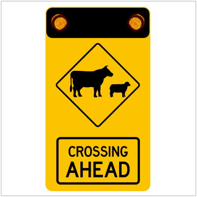 W5-V131-Cattle-Crossing-Ahead