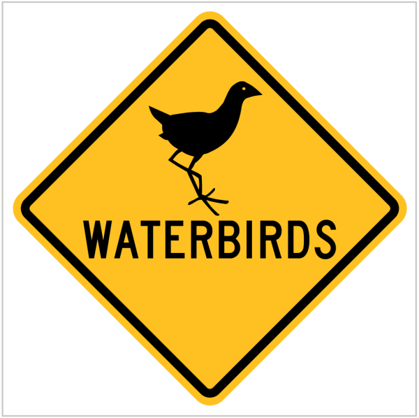 WATERBIRDS