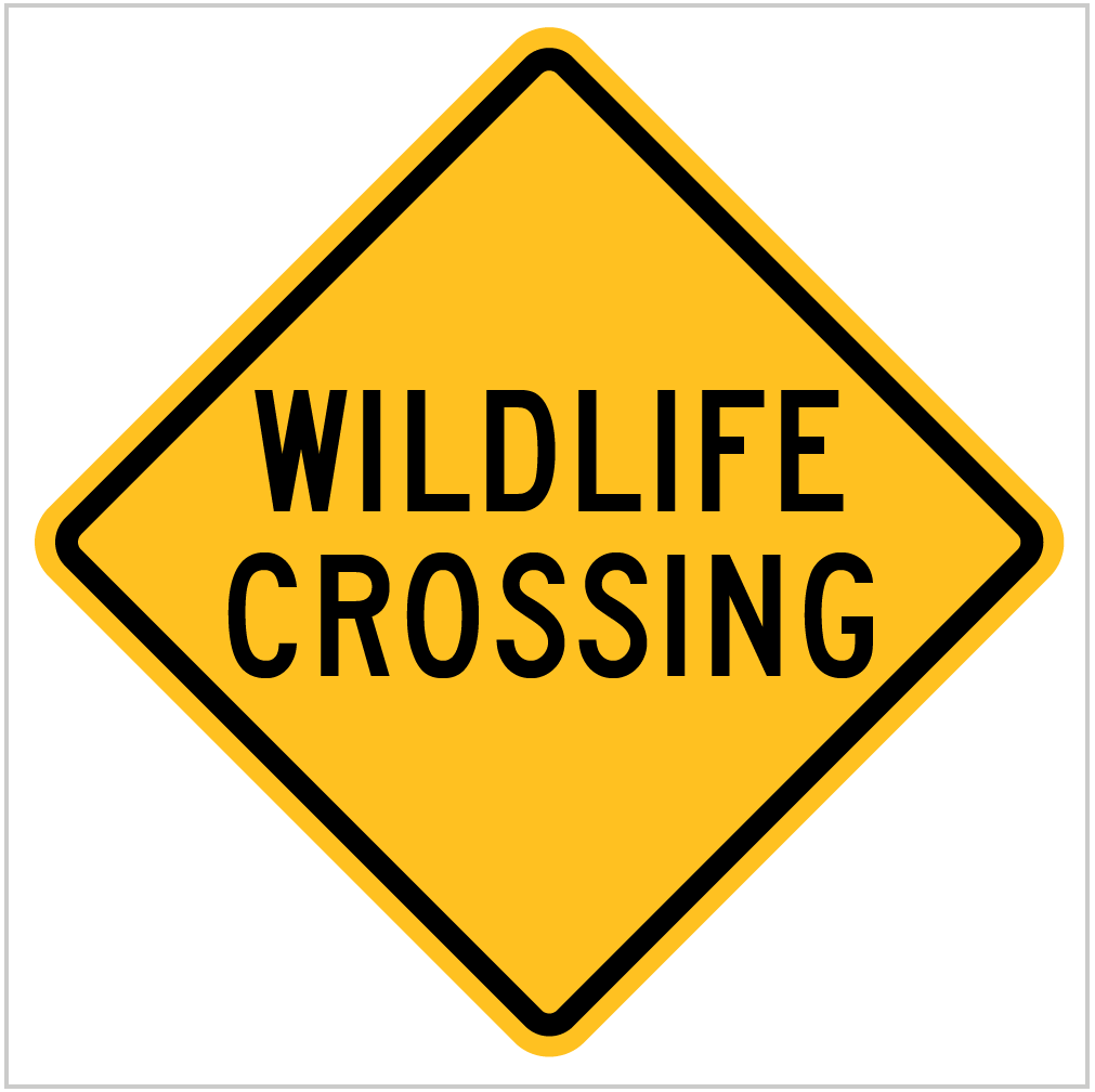 WILDLIFE CROSSING