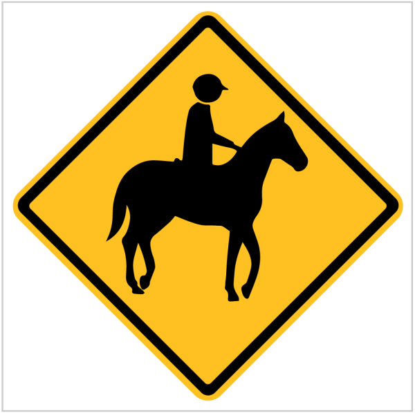 HORSE RIDERS