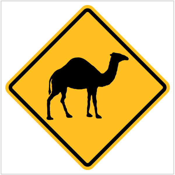 W5-44 - WATCH FOR CAMELS - WA ONLY - WARNING SIGN