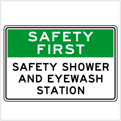 SAFE-110 - SAFETY FIRST SAFETY SHOWER AND EYEWASH STATION