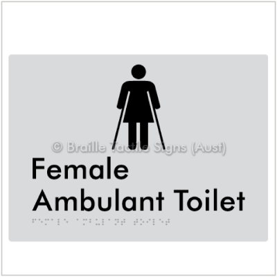 Braille Tactile BTS222n Female Ambulant Toilet silver