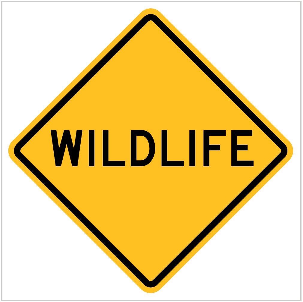 W5-56 WILDLIFE